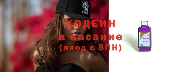стаф Богородицк