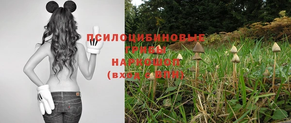 кристаллы Богданович