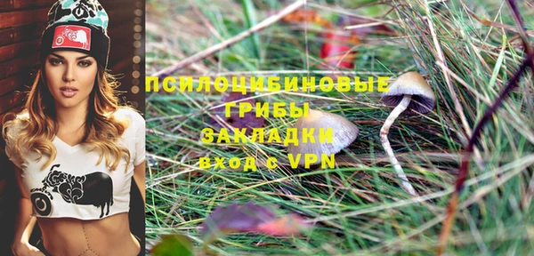 стаф Богородицк