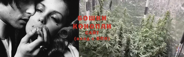 эйфоретик Бородино